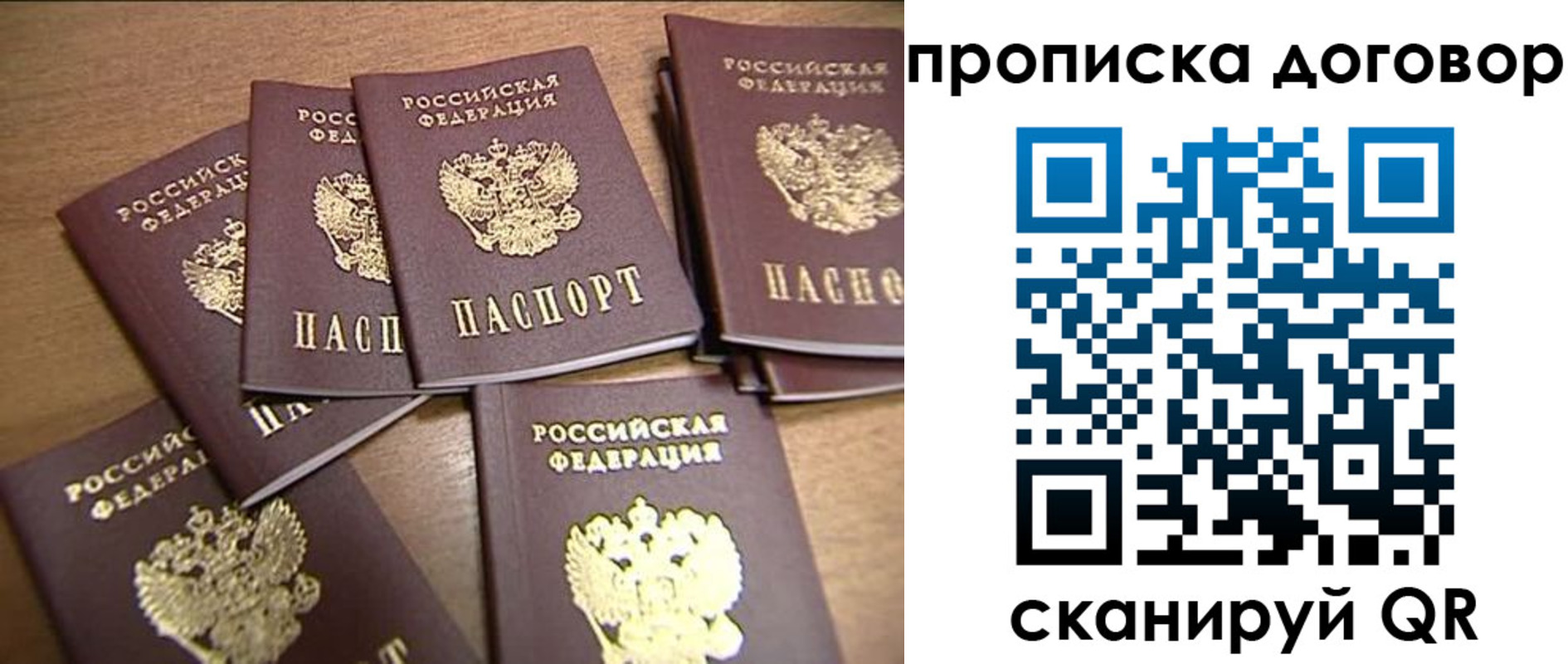 где прописаться в Дмитрове